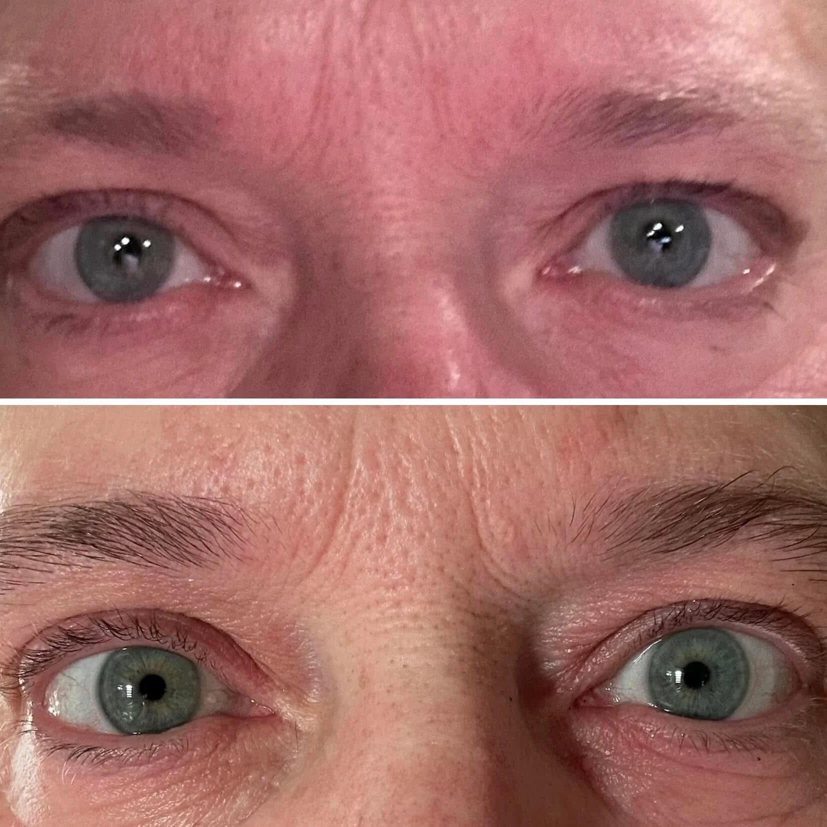 Lash and Brow - Image 6
